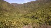 Filename=201811041005-00314-IMG_Rimutaka_Trail.jpg
Filesize=1066KiB
Dimensions=2048x1152
Date added=Nov 15, 2018 201811041005-00314-IMG_Rimutaka_Trail.jpg