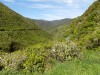 Filename=201811041041-00077-DSCN6659_Rimutaka_Trail.jpg
Filesize=1299KiB
Dimensions=2048x1536
Date added=Nov 15, 2018 201811041041-00077-DSCN6659_Rimutaka_Trail.jpg