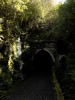 Filename=201811041059-00094-DSCN6676_Rimutaka_Trail.jpg
Filesize=946KiB
Dimensions=1536x2048
Date added=Nov 15, 2018 201811041059-00094-DSCN6676_Rimutaka_Trail.jpg