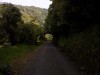 Filename=201811041113-00100-DSCN6682_Rimutaka_Trail.jpg
Filesize=726KiB
Dimensions=2048x1536
Date added=Nov 15, 2018 201811041113-00100-DSCN6682_Rimutaka_Trail.jpg