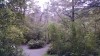 Filename=201811041237-00338-IMG_Rivendell.jpg
Filesize=1087KiB
Dimensions=2048x1152
Date added=Nov 15, 2018 201811041237-00338-IMG_Rivendell.jpg