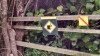 Filename=201811051731-00378-HDR_Sign.jpg
Filesize=393KiB
Dimensions=2048x1152
Date added=Nov 15, 2018 201811051731-00378-HDR_Sign.jpg