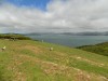Filename=201811061108-00116-DSCN6698_Somes_Island.jpg
Filesize=731KiB
Dimensions=2048x1536
Date added=Nov 15, 2018 201811061108-00116-DSCN6698_Somes_Island.jpg
