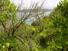 201811061142-00157-DSCN6739_Somes_Island.jpg