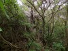 Filename=201811061156-00175-DSCN6757_Somes_Island.jpg
Filesize=1347KiB
Dimensions=2048x1536
Date added=Nov 15, 2018 201811061156-00175-DSCN6757_Somes_Island.jpg