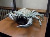 Filename=201905091430-00045-DSCN6811.jpg
Filesize=28KiB
Dimensions=2048x1535
Date added=Jun 17, 2019 201905091430-00045-DSCN6811.jpg