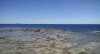Filename=201905161100-00672-IMG_Seascape.jpg
Filesize=21KiB
Dimensions=2048x1119
Date added=Jun 17, 2019 201905161100-00672-IMG_Seascape.jpg