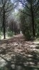 Filename=201905161410-00679-IMG_trail.jpg
Filesize=43KiB
Dimensions=1152x2048
Date added=Jun 17, 2019 201905161410-00679-IMG_trail.jpg