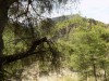 Filename=201906031415-00085-DSCN7414_Diakopto_Rail.jpg
Filesize=57KiB
Dimensions=2048x1536
Date added=Jun 17, 2019 201906031415-00085-DSCN7414_Diakopto_Rail.jpg