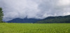 Filename=202406010836-00345_Mountains.jpg
Filesize=464KiB
Dimensions=2048x995
Date added=Jun 15, 2024 202406010836-00345_Mountains.jpg