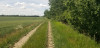 Filename=202405231224-00260_Deserted_Highway.jpg
Filesize=854KiB
Dimensions=2048x995
Date added=Jun 15, 2024 202405231224-00260_Deserted_Highway.jpg