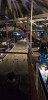Filename=202508111107-00218.jpg
Filesize=448KiB
Dimensions=995x2048
Date added=Sep 05, 2025 202508111107-00218.jpg