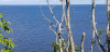 Filename=202508121009-00303.jpg
Filesize=701KiB
Dimensions=2048x995
Date added=Sep 05, 2025 202508121009-00303.jpg