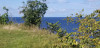Filename=202508121010-00304.jpg
Filesize=793KiB
Dimensions=2048x995
Date added=Sep 05, 2025 202508121010-00304.jpg