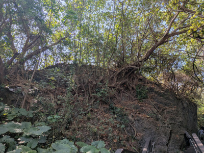 202603151013-00407.jpg