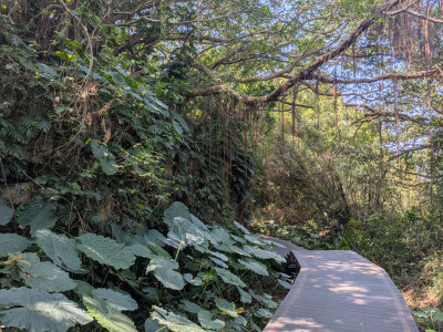 202603151025-00412.jpg