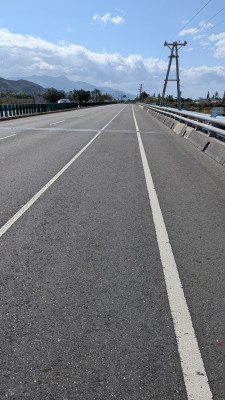 202603160944-00439.jpg