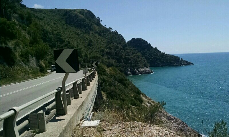 rps20190522_180352-573134841.jpg image