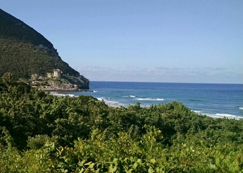 rps20190522_180449-2136756711.jpg image