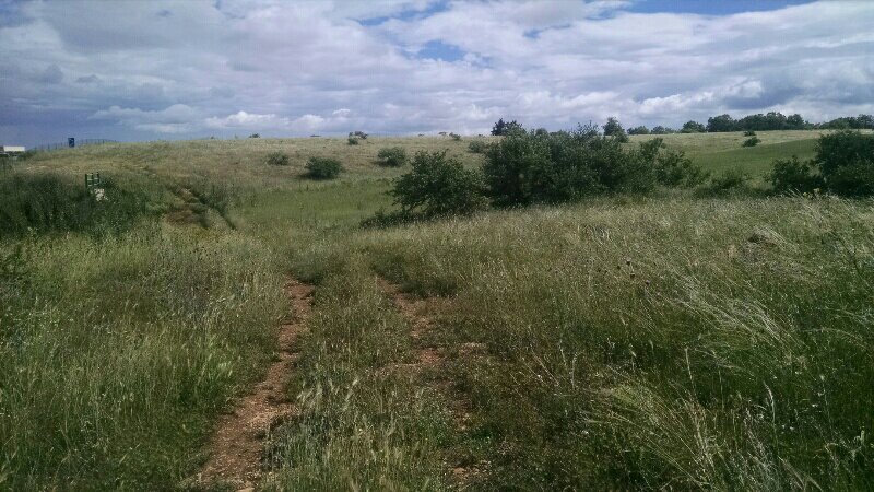 rps20190528_212629-1971306509.jpg image