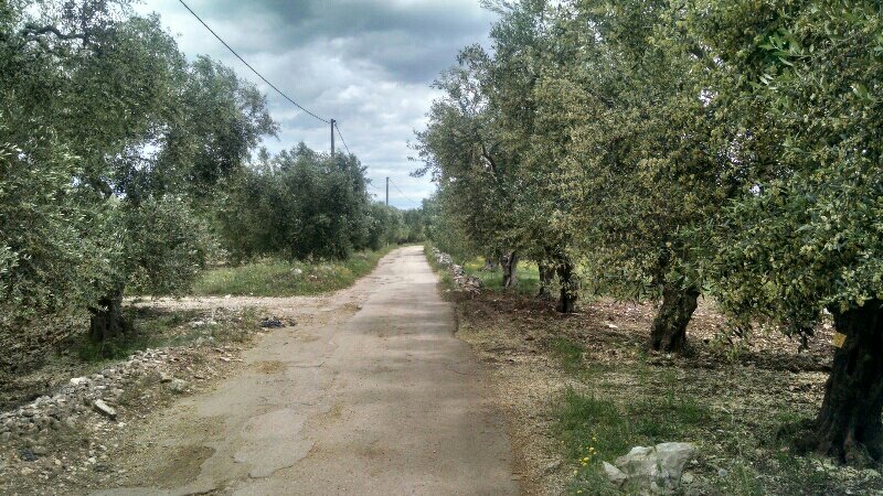 rps20190528_212716-1206722432.jpg image