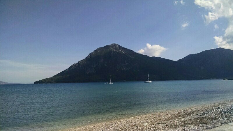 rps20190531_182110-126904424.jpg image