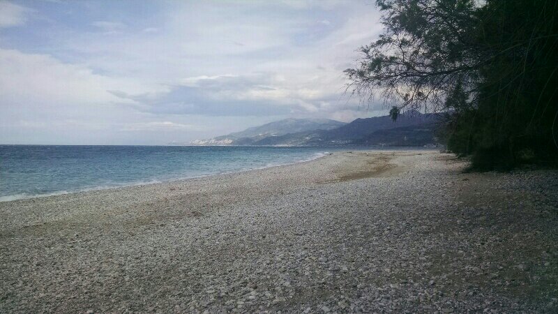 rps20190604_203413-1425748878.jpg image