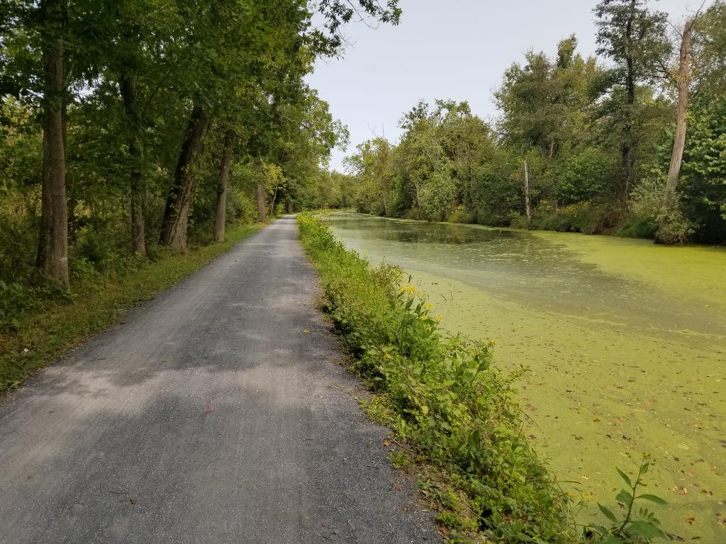 Canal